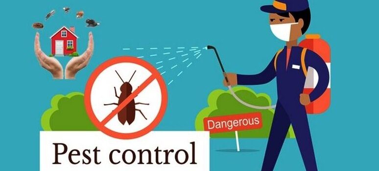 Pest Control